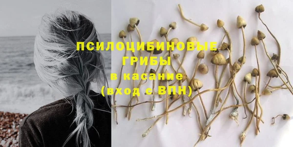 не бодяженный Балахна