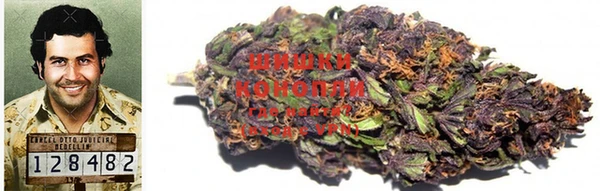 индика Гусев